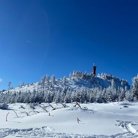 فيلا Bergtraum Braunlage Im Harz, 17 Gaeste, Sauna, Pool المظهر الخارجي الصورة