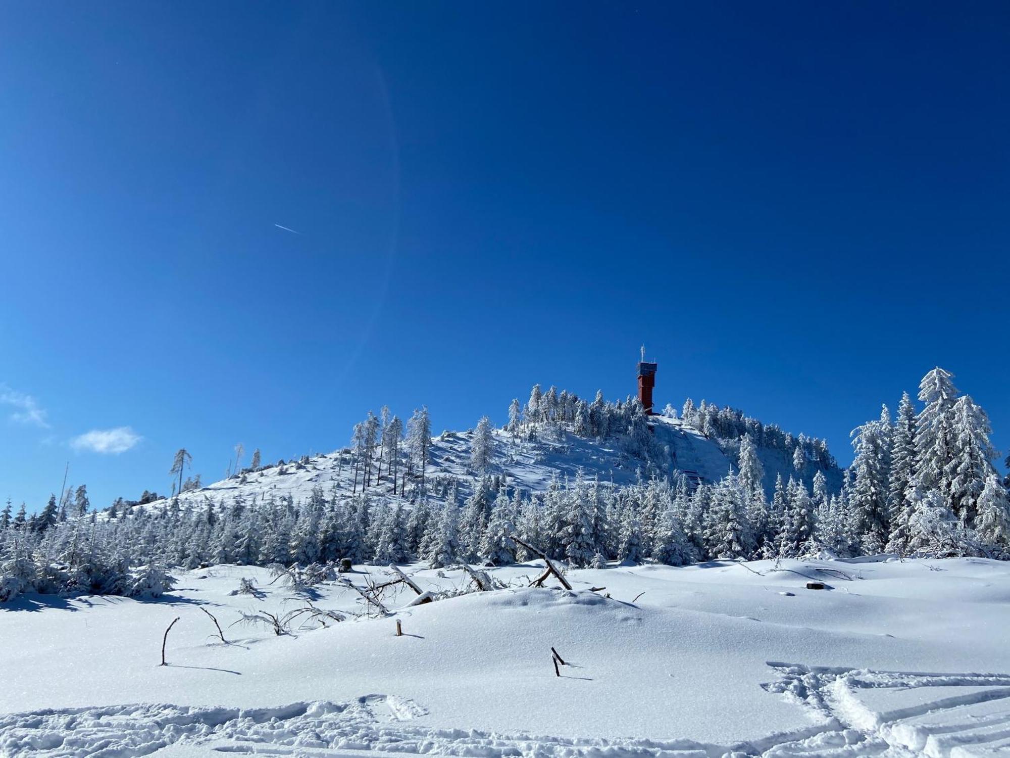 فيلا Bergtraum Braunlage Im Harz, 17 Gaeste, Sauna, Pool المظهر الخارجي الصورة