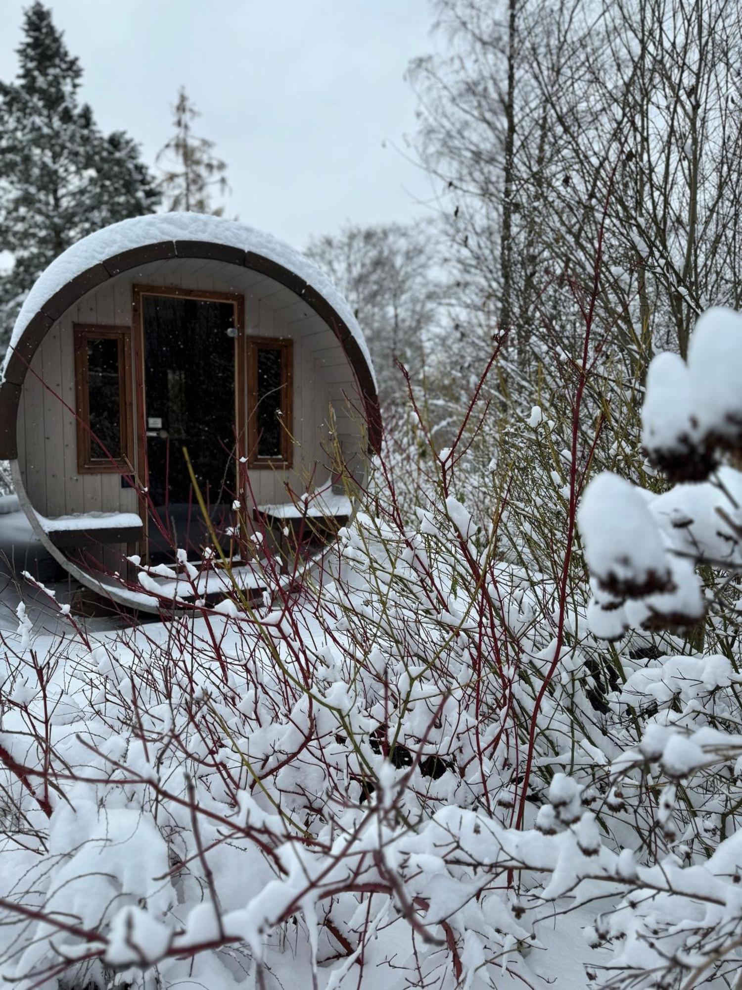 فيلا Bergtraum Braunlage Im Harz, 17 Gaeste, Sauna, Pool المظهر الخارجي الصورة