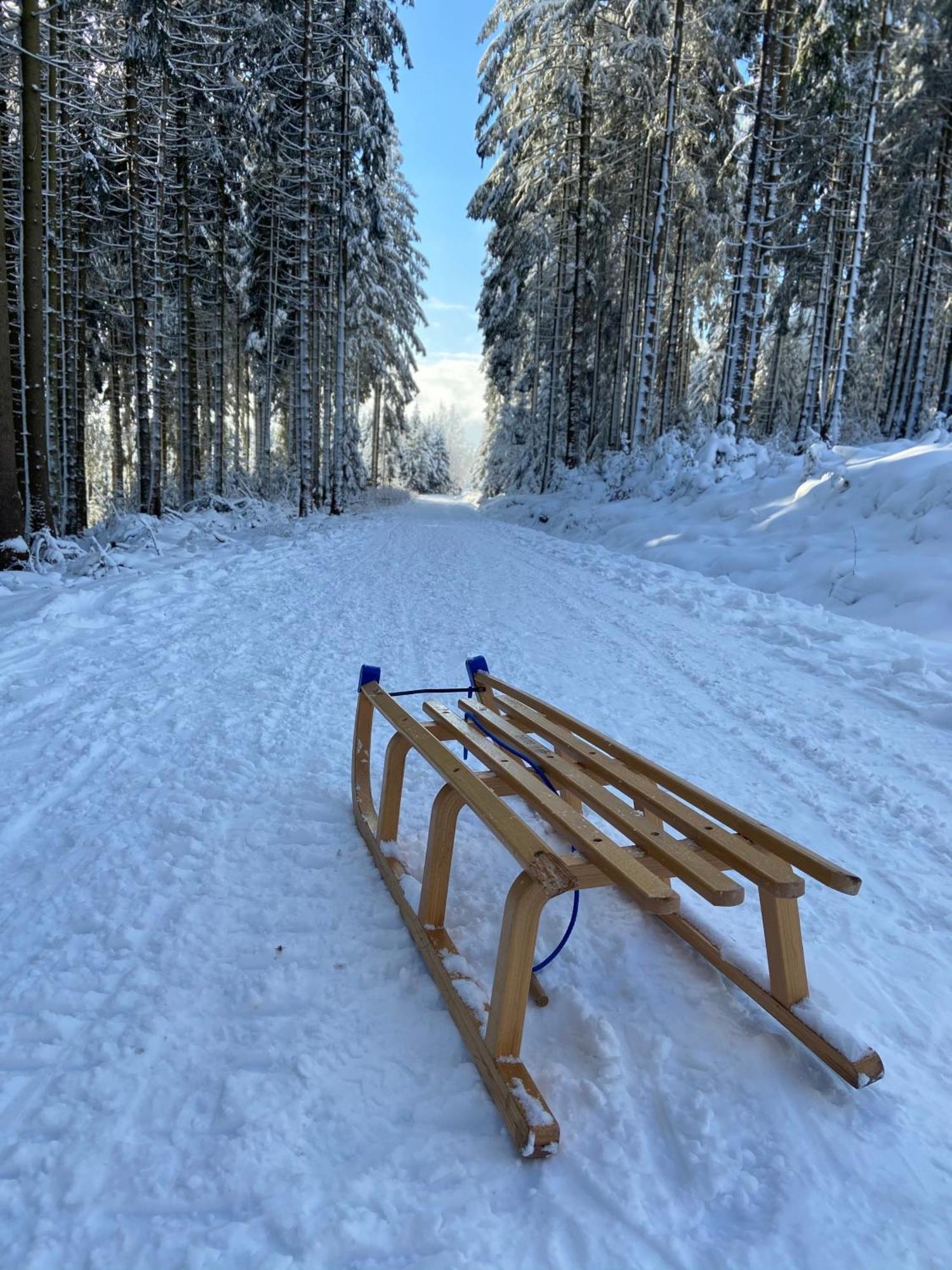 فيلا Bergtraum Braunlage Im Harz, 17 Gaeste, Sauna, Pool المظهر الخارجي الصورة